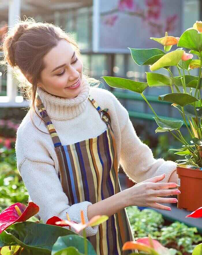 PlantersKart - gardening